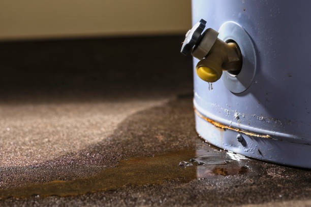 Best Flooded house restoration  in Silver Firs, WA