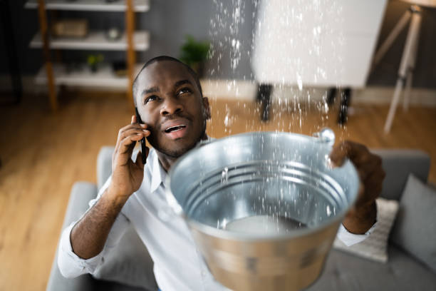 Best Water damage restoration services  in Silver Firs, WA