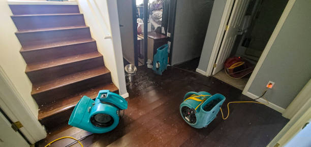Best Water damage mitigation services  in Silver Firs, WA