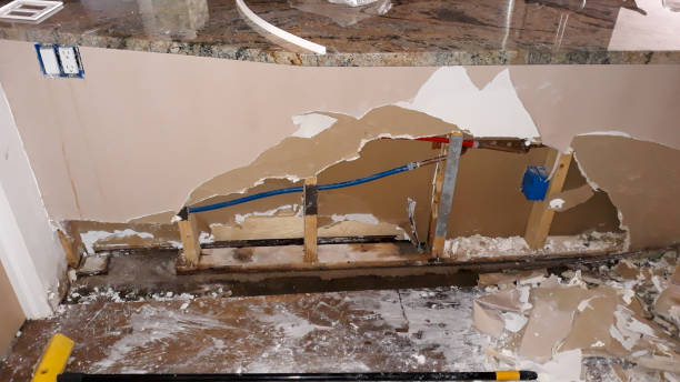 Best Fire Damage Restoration  in Silver Firs, WA