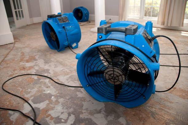Reliable WA Water damage restoration Solutions