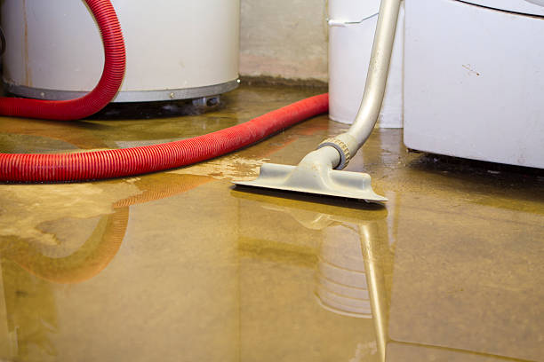 Best Flood damage cleanup  in Silver Firs, WA