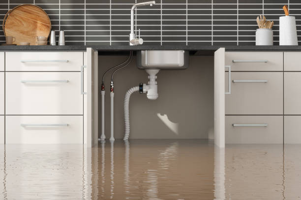 Best Professional water damage repair  in Silver Firs, WA