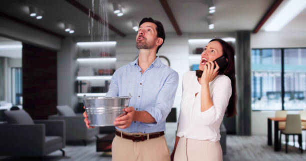 Best Local water damage restoration  in Silver Firs, WA