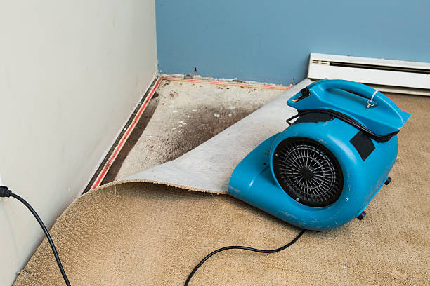 Carpet water damage restoration in WA